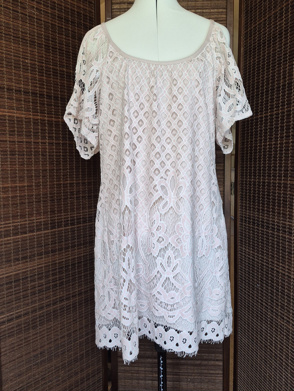 VENUS  Pale Blush Cold Shoulder Lace Dress